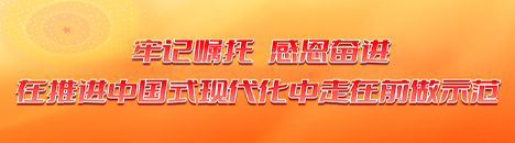 牢記囑托 感恩奮進(jìn) 在推進(jìn)中國(guó)式現(xiàn)代化中走在前做示范
